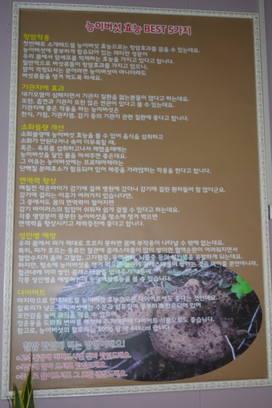 능이야오리야 이미지