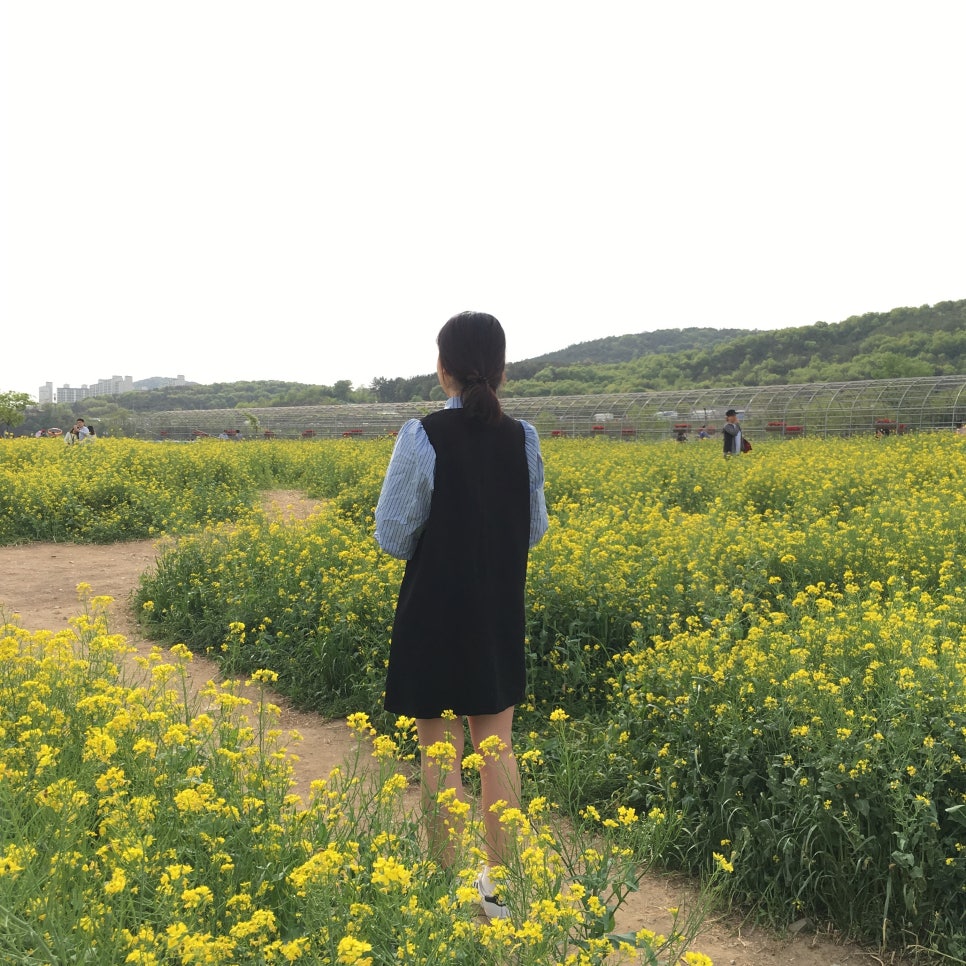 콤마레진 이미지