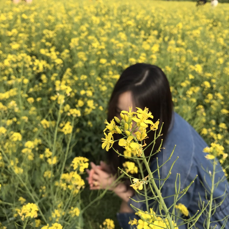 콤마레진 이미지
