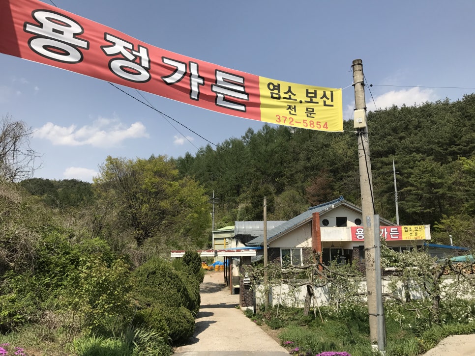용정가든 이미지