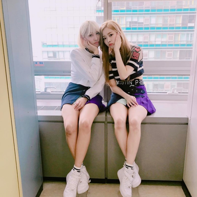 시연 이미지