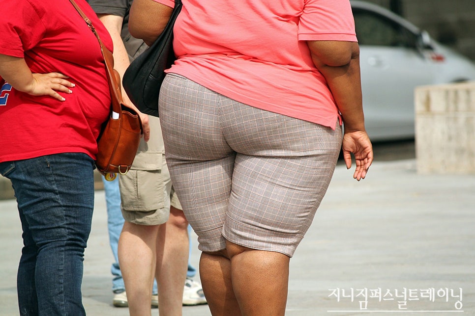 퍼스널트레이닝지니 이미지