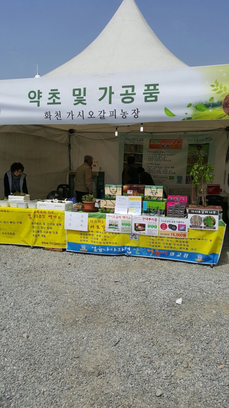 화천가시오갈피농장 이미지