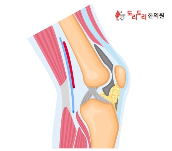 도리도리한의원 이미지