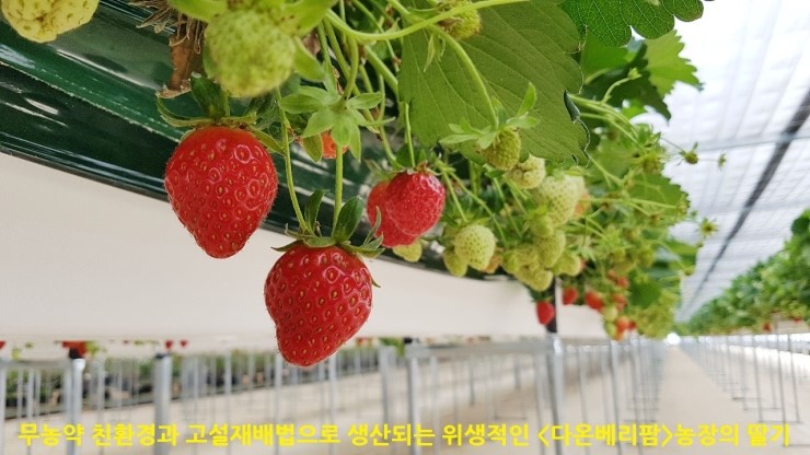 다온농장 이미지