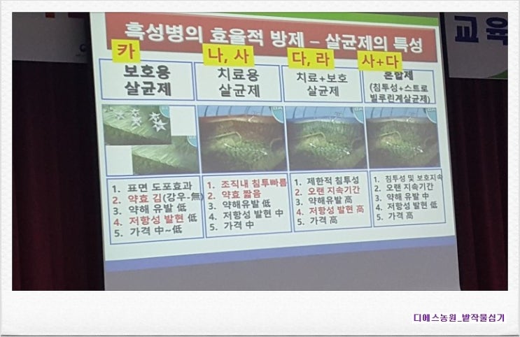 나주배유기 이미지