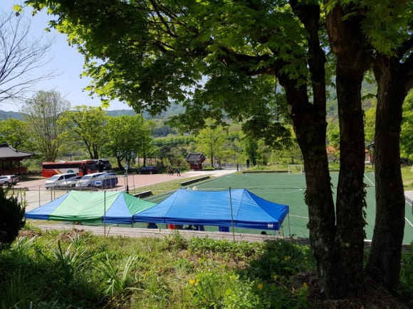 수동농업협동조합 이미지