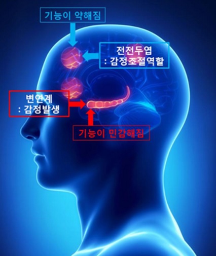 소울썸 이미지