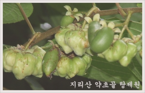 스타일굿 이미지