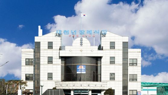 새천년의전 이미지