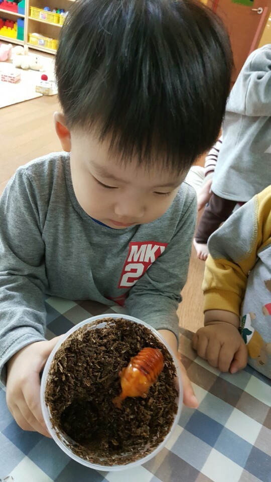 에콜로지아 이미지
