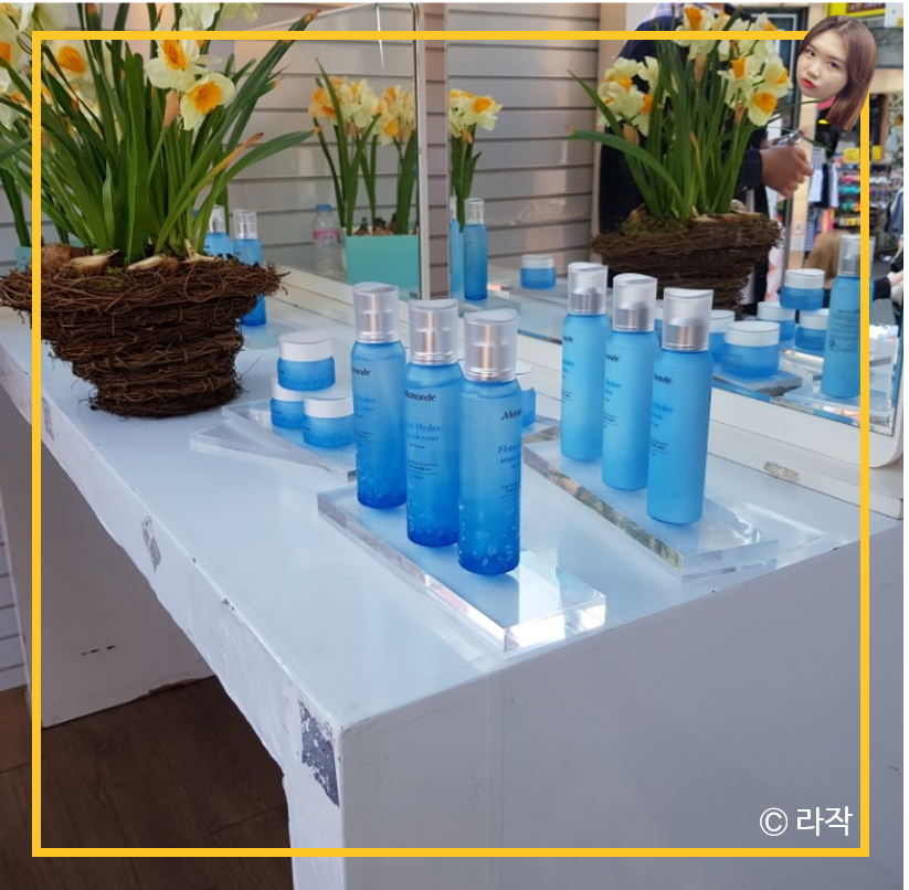 서교수선 이미지