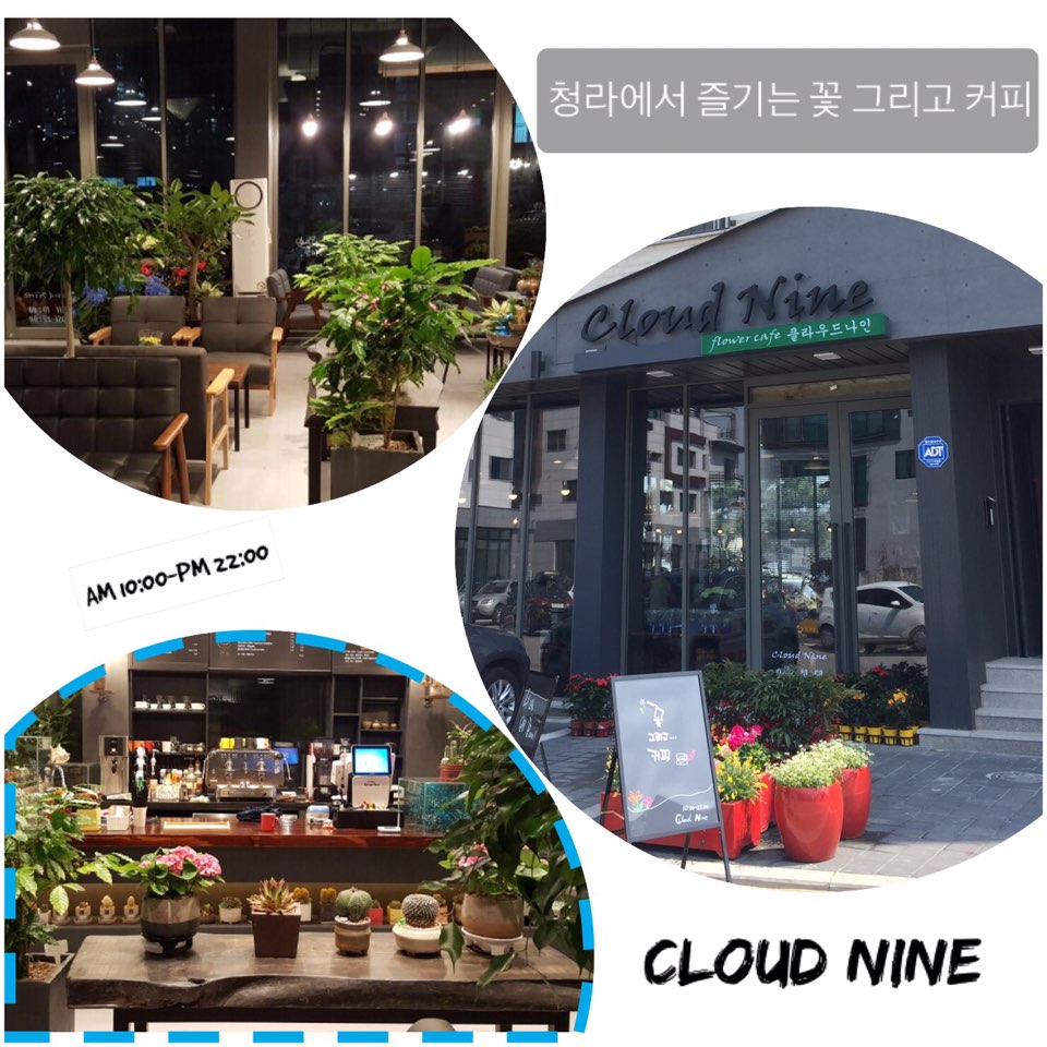 클라우드나인플라워 이미지