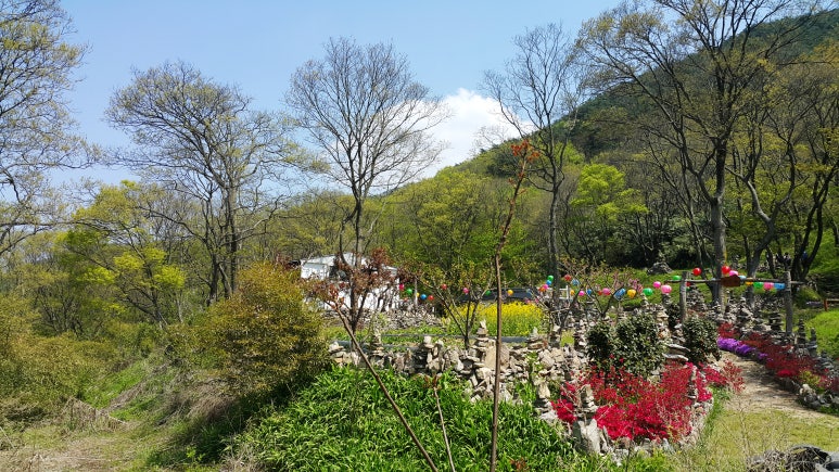 금성꽃화원 이미지