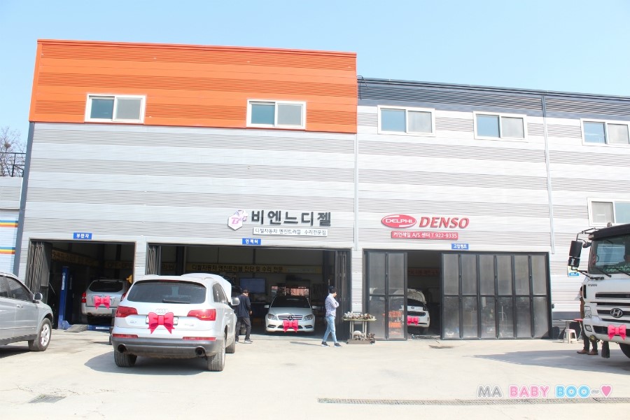 비엔느디젤 이미지