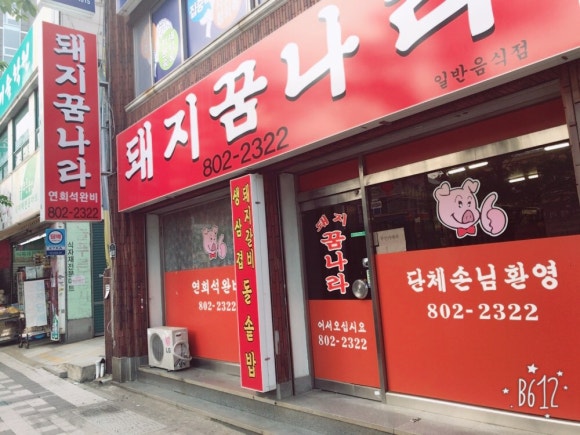 돼지꿈나라 이미지