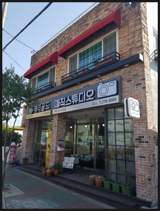 메리골드헤어 이미지