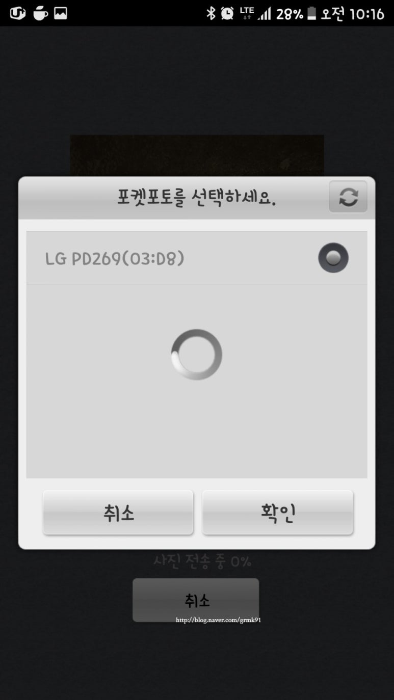 체리포포 이미지