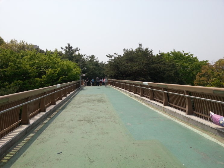 광장전시장 이미지