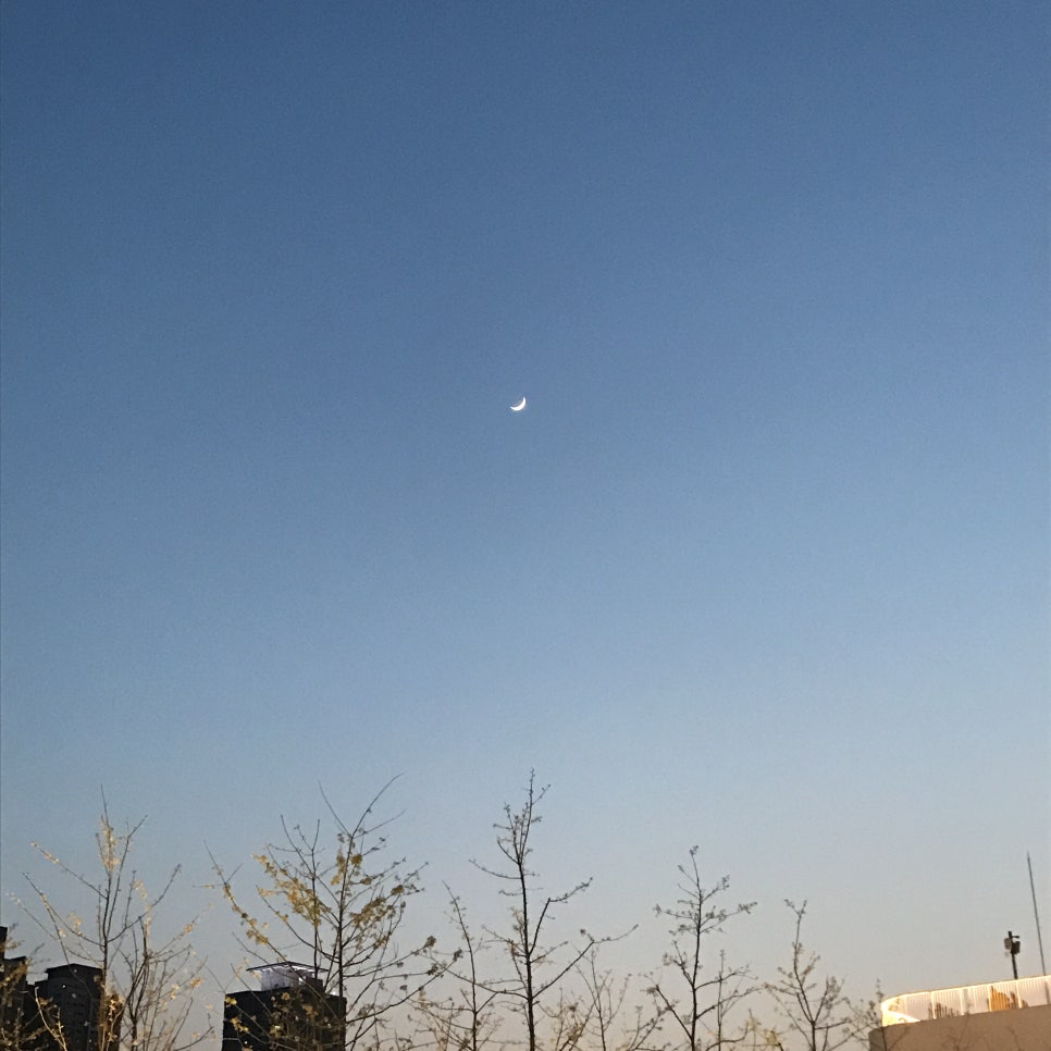 에이치엔엠콘서트 이미지