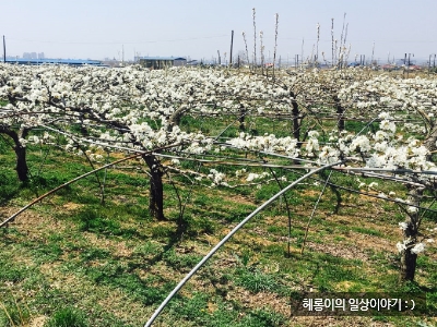 은혜농원 이미지