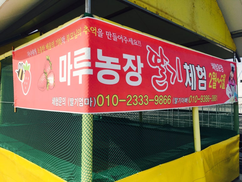 마루체험농장 이미지