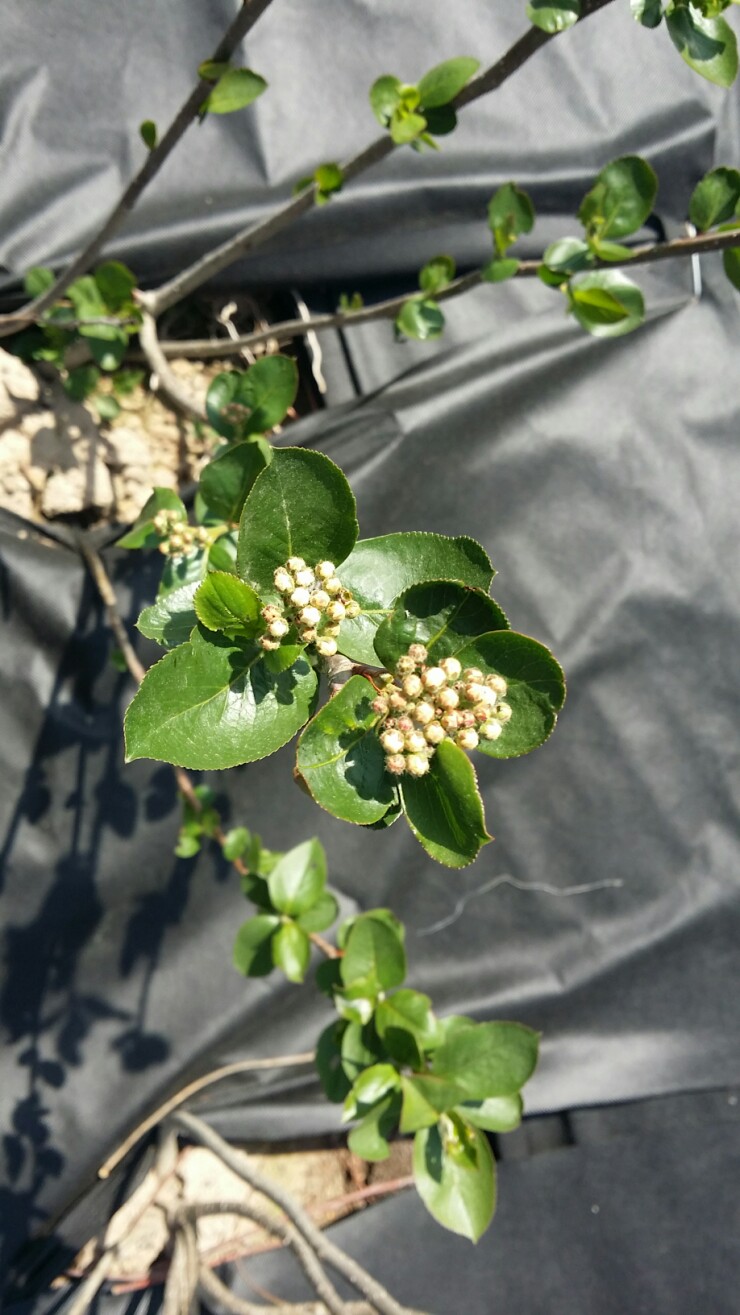 산해리농장 이미지