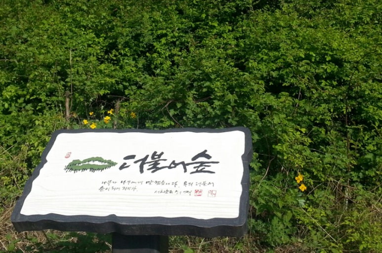 더불어숲법인 이미지