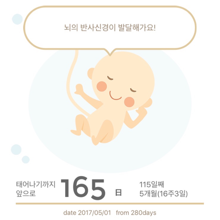 모이몰른구미 이미지