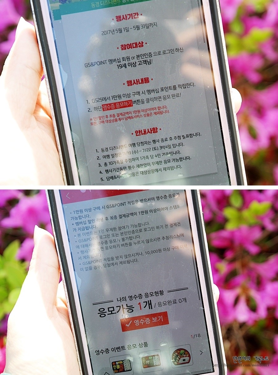 이즈니랜드 이미지