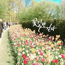 꽃길만걷자 이미지