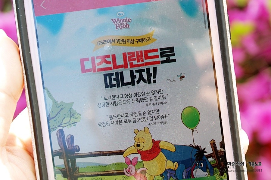 이즈니랜드 이미지