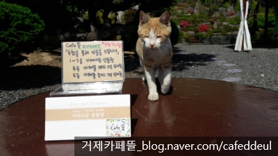원뜰카페 이미지