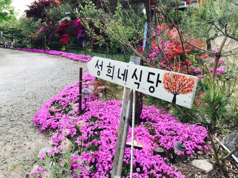 성희네집 이미지