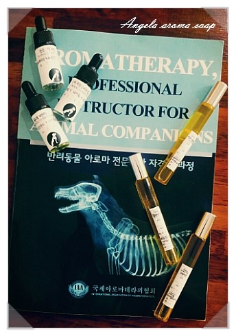 엔젤라아로마솝 이미지