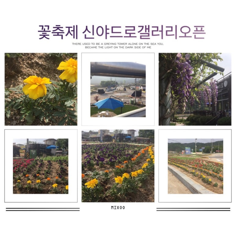 신야드로갤러리카페 이미지