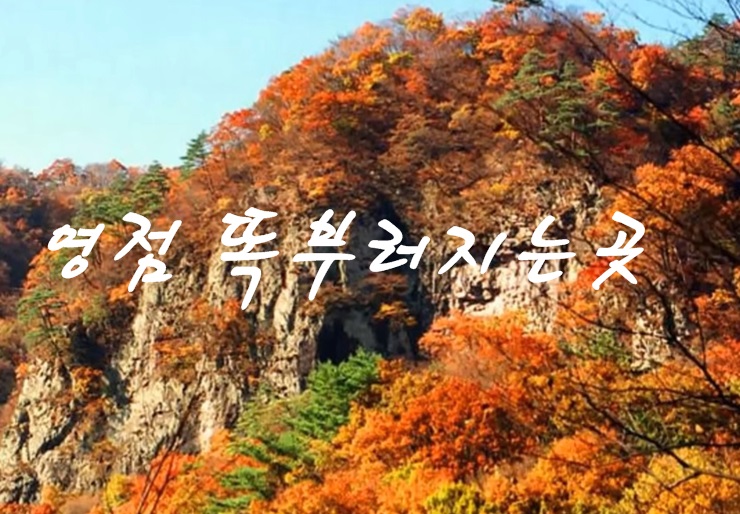 VM-17-005 이미지