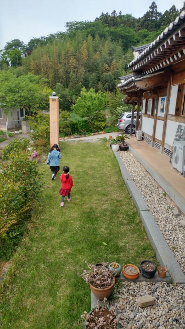 하울당 이미지