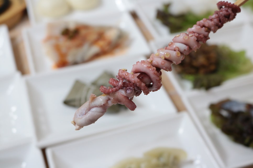 항구일식 이미지