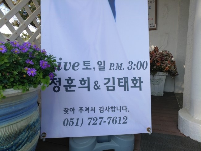 정훈희김태화꽃밭에서 이미지