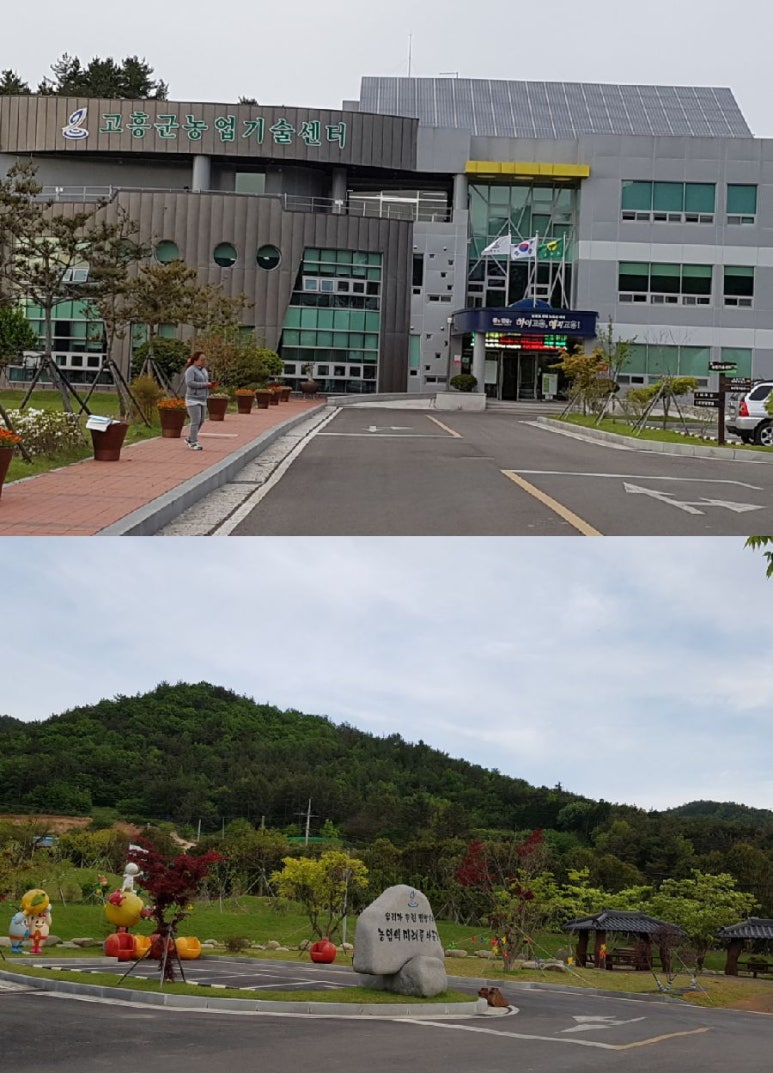 고흥 서가네 굼벵이 이미지