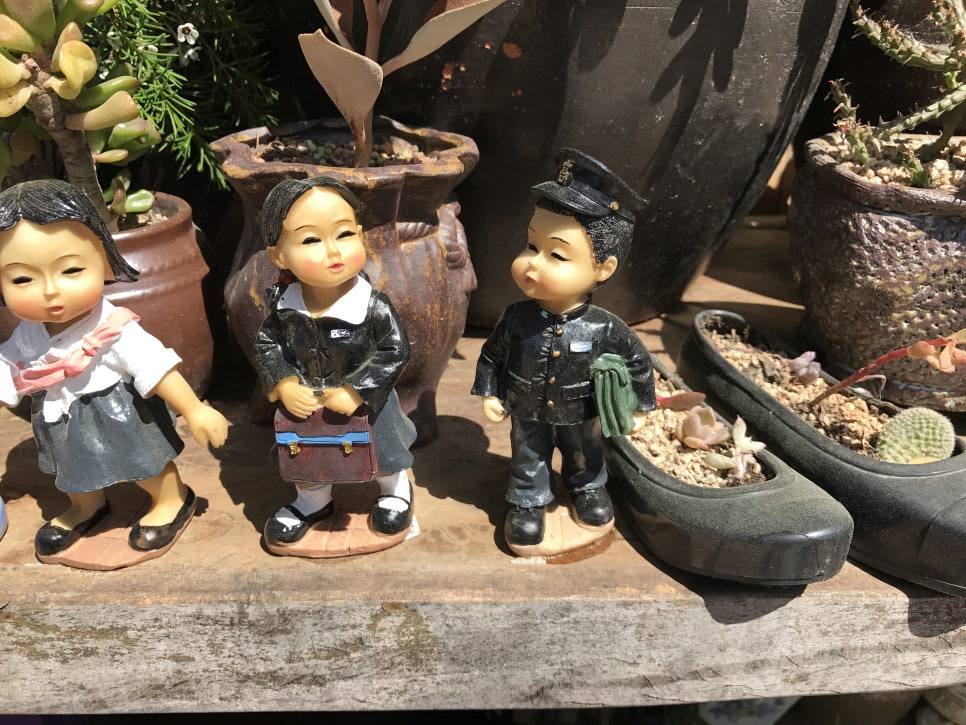 철수야학교가자 이미지