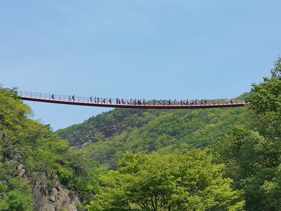 이뮨트럭 이미지