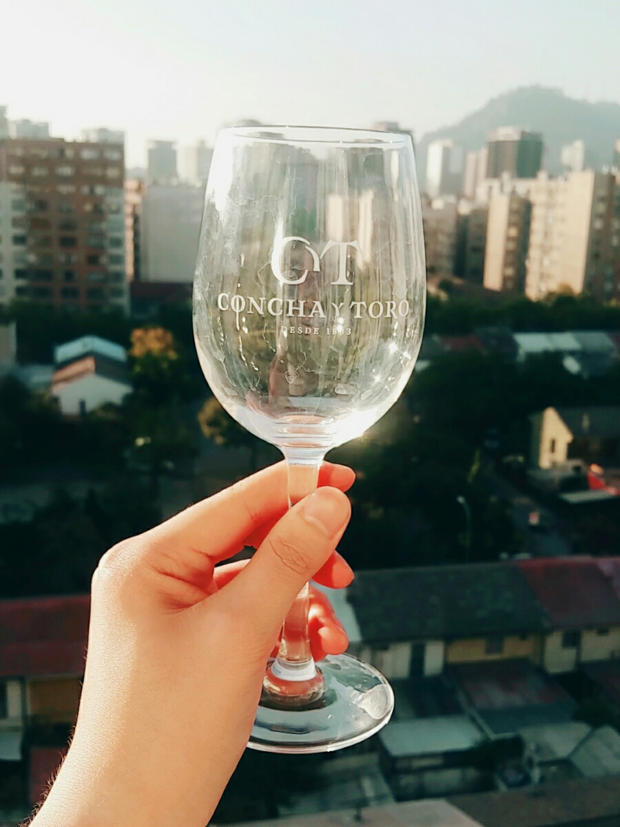 콘챠 이미지