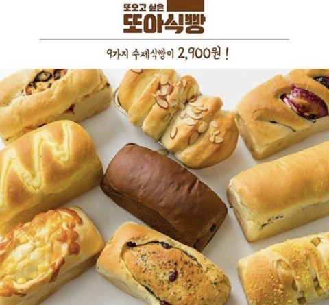 또아 이미지