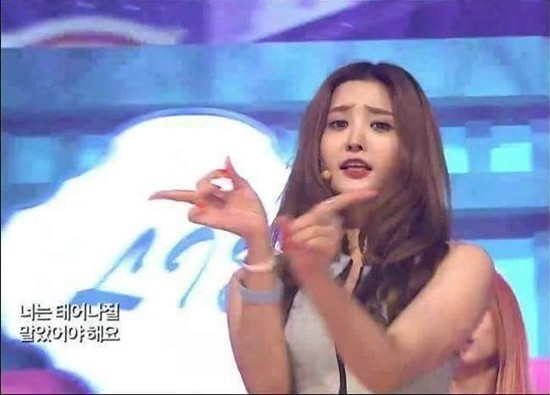 아나메르 이미지