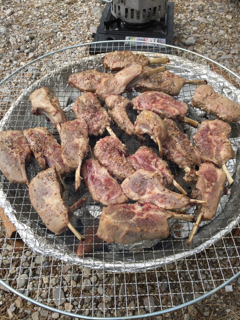 경주 오토캠핑장 추천 - 전촌솔밭해변 송림오토캠핑장에서 바베큐 파티 가족모임 : 네이버 블로그