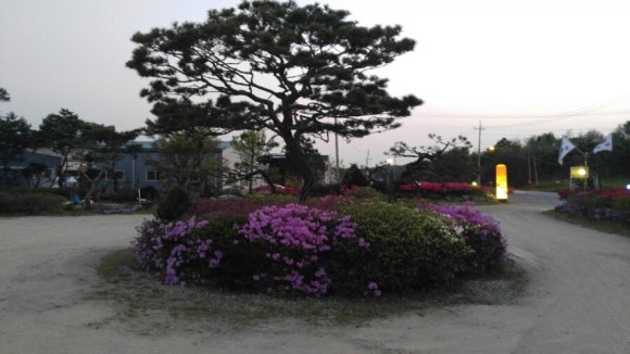 장원정육식당 이미지