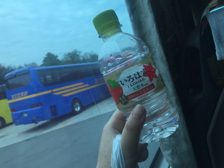 일래븐로하스 이미지