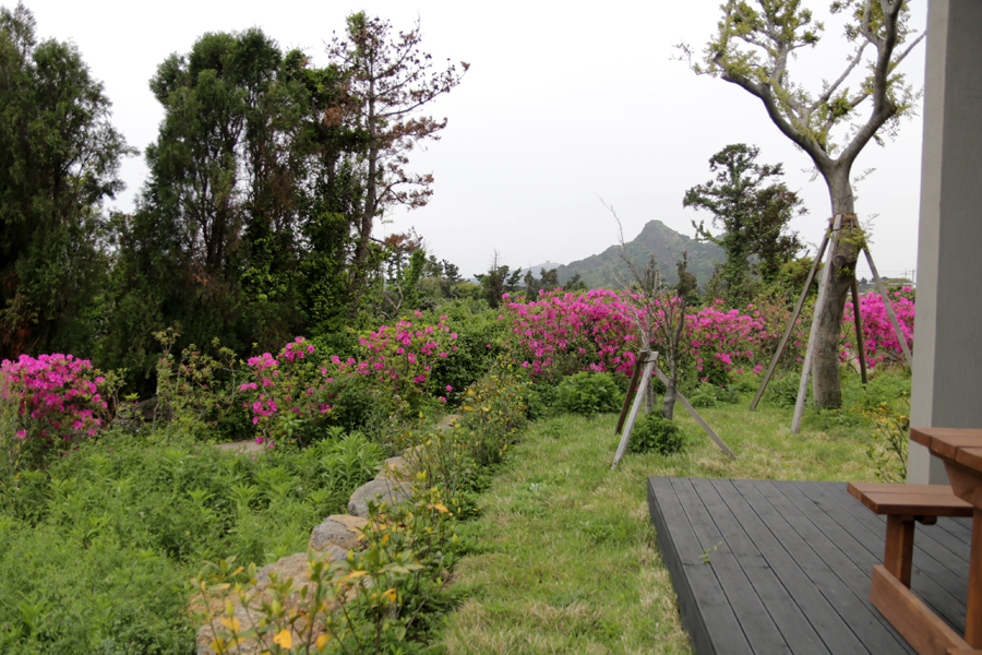 힐빙인제주 이미지